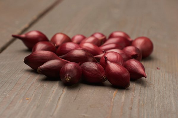 Взломали кракен аунтификатор