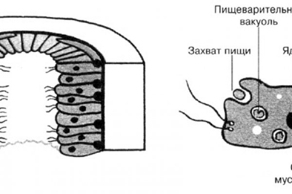 Кракен даркнет официальный сайт