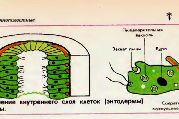 Кракен официальный сайт